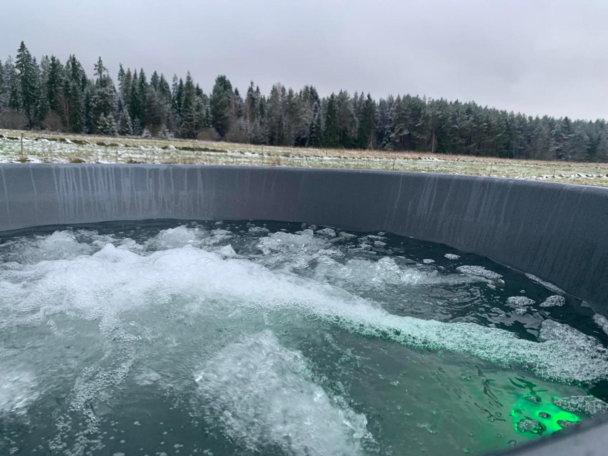 Domki Pod Lasem 66 Trybsz Exteriör bild